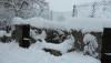 neige le 01 mars 2018
