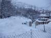neige le 11 février 2010