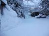 neige le 11 février 2010