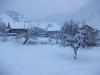 neige le 11 février 2010